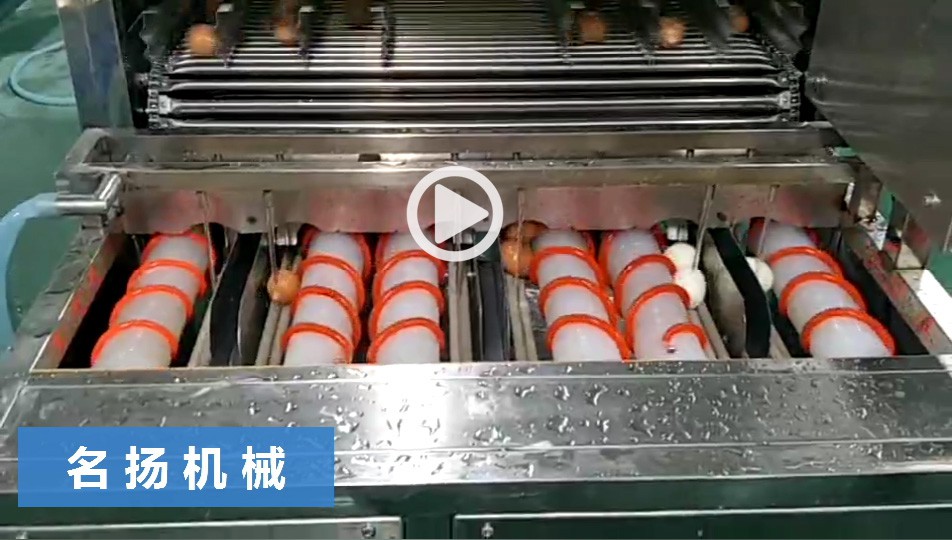 MYBK-6000雞蛋剝殼機