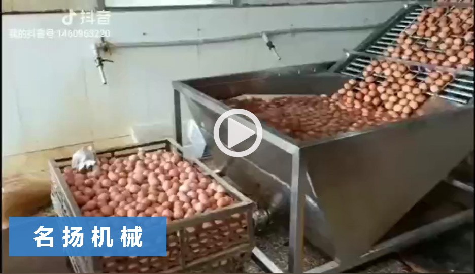 MYBK-10000A雞蛋剝殼機