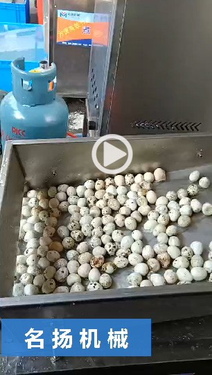 鵪鶉蛋剝殼機1