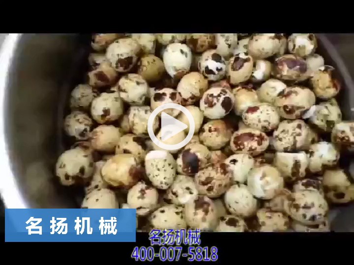 鵪鶉蛋剝殼機4