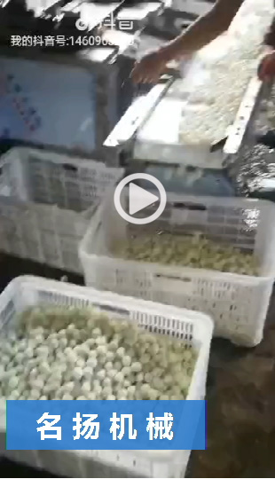 鵪鶉蛋蒸煮線6
