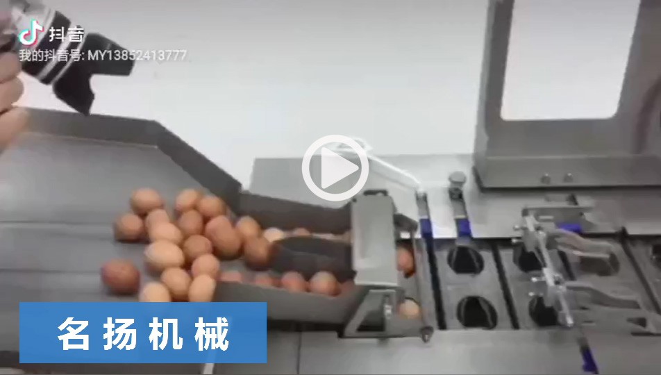 蛋液分離機