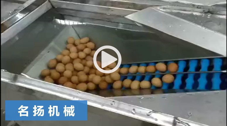 鏈板式蛋液分離機