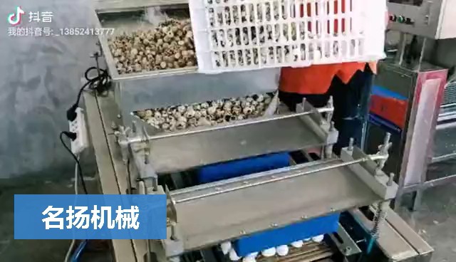 雙拍式鵪鶉蛋剝殼機