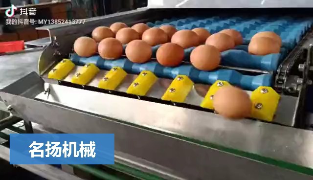 打蛋機