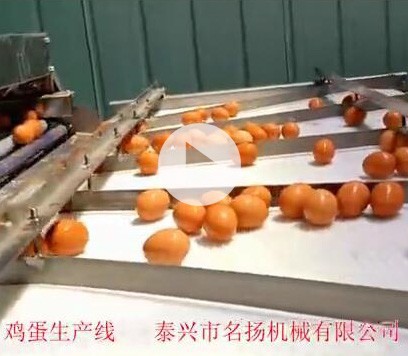 鹵蛋生產線